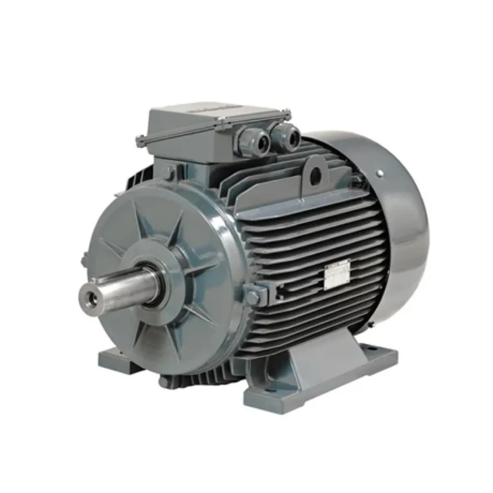 0,12 kW ~ 1.000 kW 1500 Rpm B3 Ayaklı Elektrik Motorları