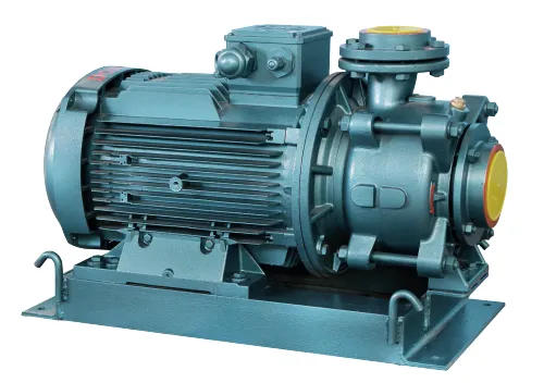 KPM65A / 65B Tip Yatay Milli Kademeli Monoblok Elektropomplar
