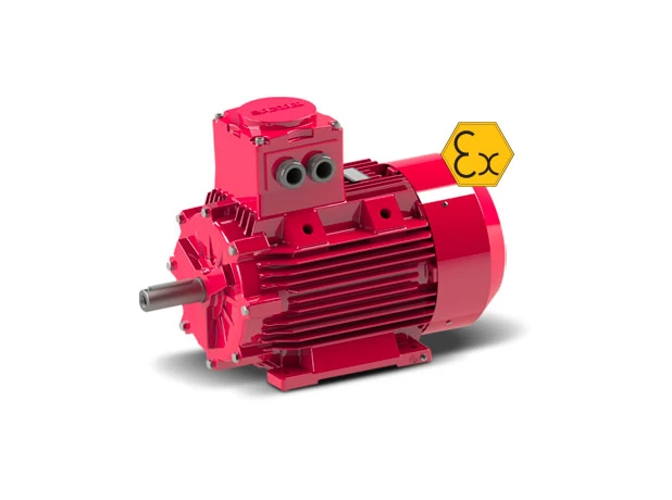 Ex-Proof Motor